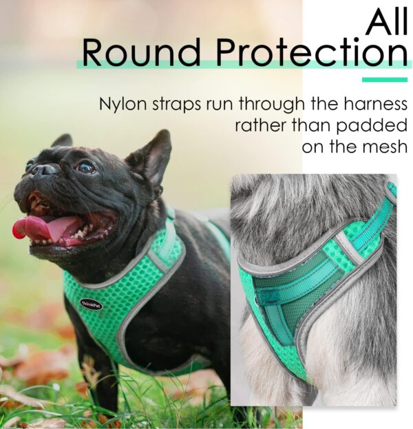 ThinkPet Reflective Breathable Soft Air Mesh No Pull Puppy Choke Free Over Head Vest Harness for Puppy Small Medium Dogs and Cats Teal Small - Image 6