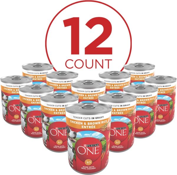 Purina ONE Tender Cuts in Wet Dog Food Gravy Chicken and Brown Rice Entree - (Pack of 12) 13 oz. Cans - Image 2