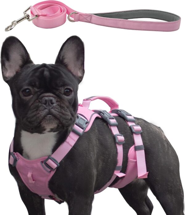 Escape Proof Dog Harness and Leash Set, Lightweight Dog Harness with Lift and Assist Handle, No Pull Reflective Pet Vest for Small Medium Dogs, Ideal for Puppy Walking and Training (Pink, XS)