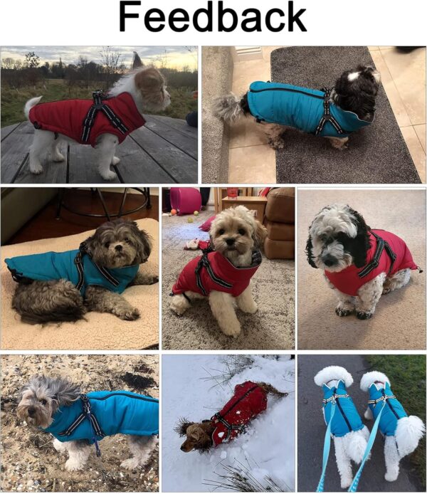 Winter Warm Coat Geyecete Waterproof Dog Winter Jacket with harness traction belt,Pet outdoor jacket Dog autumn and winter clothes for Medium, small Dog-Blue-S - Image 5