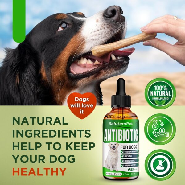 Natural Antibiotics for Dogs | Dog Antibiotics | Supports Dog Allergy Relief | Dog Itch Relief | Dog Allergy Support | Dog Multivitamin | Pet Antibiotics | Dog Antibiotics | 2 Oz - Image 7