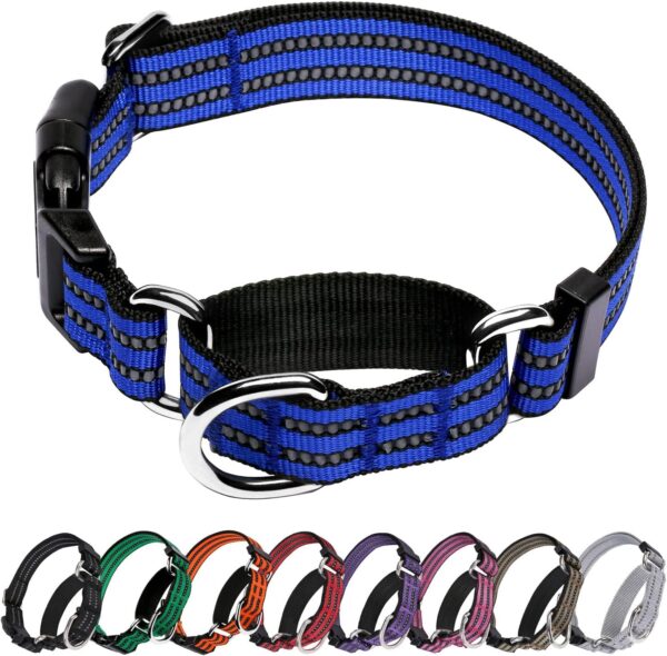 Martingale Dog Collars Reflective Nylon Dog Collar with Quick Release Buckle Adjustable Training No Slip Dog Collar (Large, Blue)