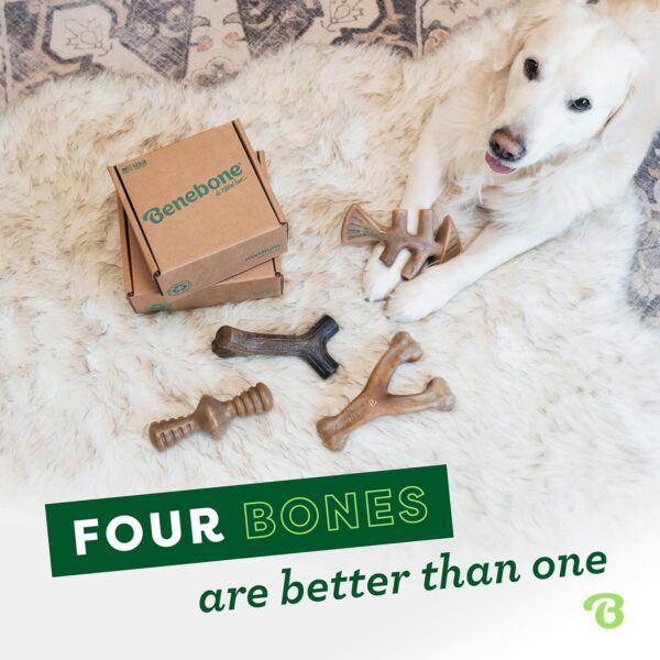 Benebone Medium 4-Pack Dog Chew Toys for Aggressive Chewers, Made in USA, 60lbs and Under - Image 4