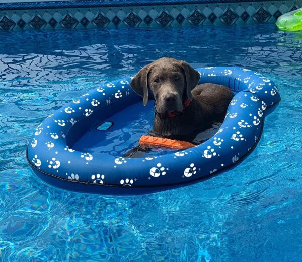 Dog Pool Float Inflatable Dog Floats for Pool Dog Floaties Swimming Pool Floats for Small Medium Large Dog Puncture Proof - Image 3