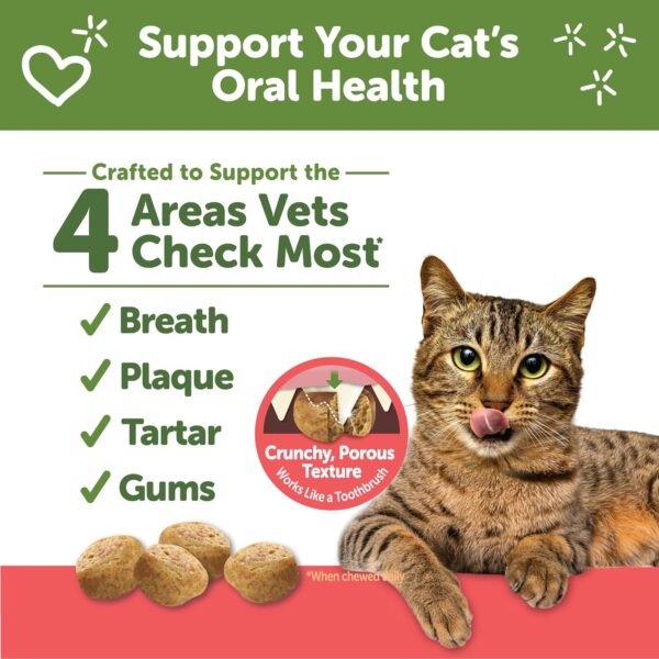 Whimzees Wellness Natural Cat Dental Treats, Chicken & Salmon Flavor, 2 Ounce - Image 2