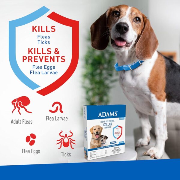 Adams Flea & Tick Control Collar for Dogs, 7-Month Protection, Adjustable One Size Collar Fits All, Kills and Repels Fleas, Ticks, Flea Eggs & Flea Larvae - Image 2