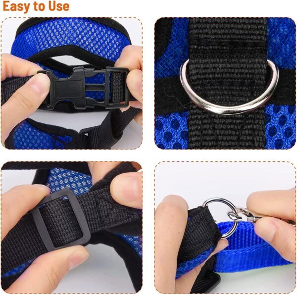 Chicken Harness (Medium, Blue) with Leash, Breathable, Adjustable, Comfortable for Chickens, Ducks, Geese, and Small Pets - Image 3