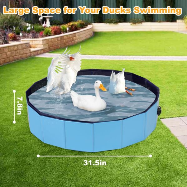 Juome Foldable Duck Swimming Pool, Portable Pond Pool for Ducks, Collapsible Hard Plastic Swimming Pool for Pets Dogs and Cats for Indoor and Outdoor - Image 6