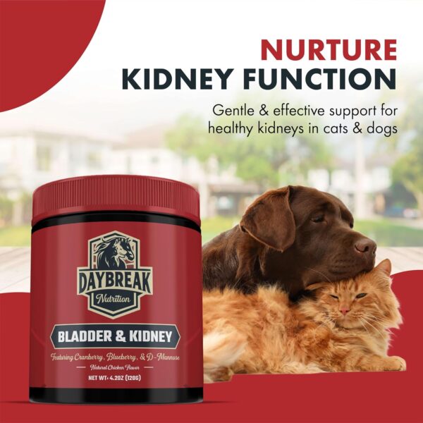 Bladder and Kidney Relief for Dogs & Cats by Daybreak Nutrition | Powder Cranberry Supplement for Dogs and Cat for UTI Treatment & Urinary Support | Dog & Cat Urinary Tract Infection Remedy Supplement - Image 6