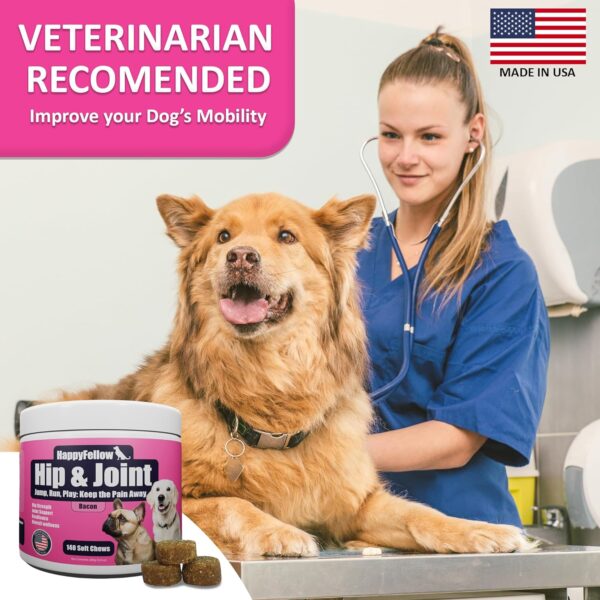 Hip and Joint Supplement for Dogs - Mobility Aids Glucosamine Chondroitin for Dogs Arthritis Pain Relief Anti Inflammatory, Small Large Breed Advanced Support, Pain Relief, 140 Soft Chews - Image 4