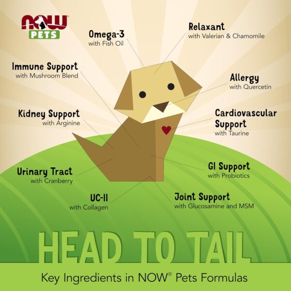 NOW Pet Health, L-Lysine Supplement, Powder, Formulated for Cats, NASC Certified, 8-Ounce - Image 3