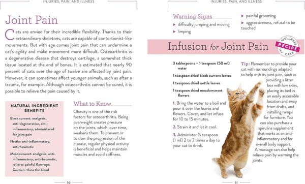 Wellness for Cats: A Guide for Health, Hygiene, and Happiness - Image 6