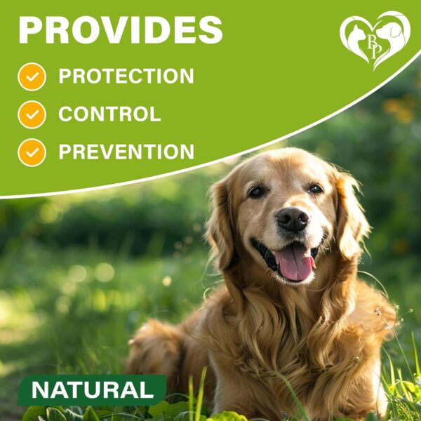 Natural Flea & Tick Collar for Dogs - 6 Months Control of Best Prevention & Safe Treatment - Anti Fleas and Ticks Essential Oil Repellent (1 Pack, 2 Count) - Image 5