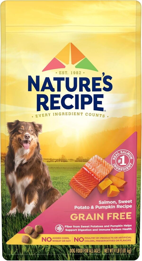 Nature′s Recipe Grain Free Salmon, Sweet Potato & Pumpkin Recipe Dry Dog Food, 4 lb. Bag