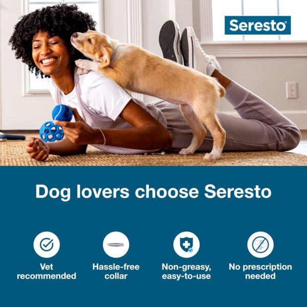 Seresto Small Dog Vet-Recommended Flea & Tick Treatment & Prevention Collar for Dogs Under 18 lbs. | 2 Pack - Image 3