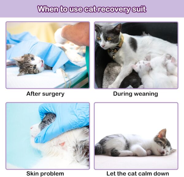 PUMYPOREITY Cat Recovery Suit, Cat Surgery Recovery Suit for Male and Female, Soft Cat Spay Recovery Suit, Breathable Cat Surgical Recovery Suit, Cat Onesie for Cats After Surgery, Purple, L - Image 6