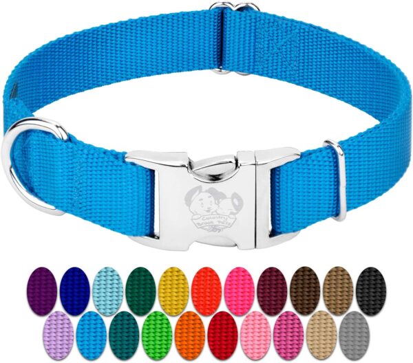 Country Brook Petz Premium Nylon Dog Collar with Metal Buckle for Small Medium Large Breeds - Vibrant 30+ Color Selection (Large, 1 Inch, Ice Blue)