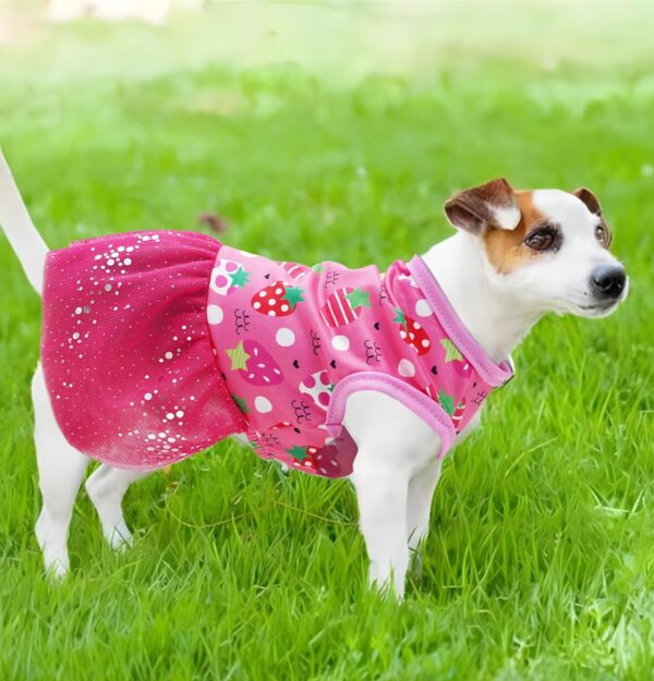 3 Pieces Dog Dresses for Small Dogs Girl Puppy Spring Summer Dress Dog Clothes for Chihuahua Teacup Yorkie Female with Cute Pattern Pet Doggie Cat Tulle Outfit(Strawberry,Ice Cream,Rainbow, Medium) - Image 3