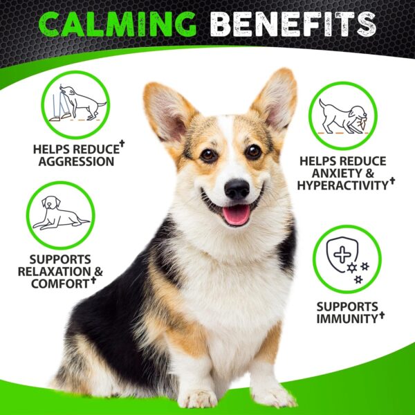 Hemp Calming Chews for Dogs with Anxiety and Stress - 170 Dog Calming Treats - Storms, Barking, Separation - Valerian Root - Melatonin - Hemp Oil - Dog Anxiety Relief - Made in USA | Soft Chews - Image 2