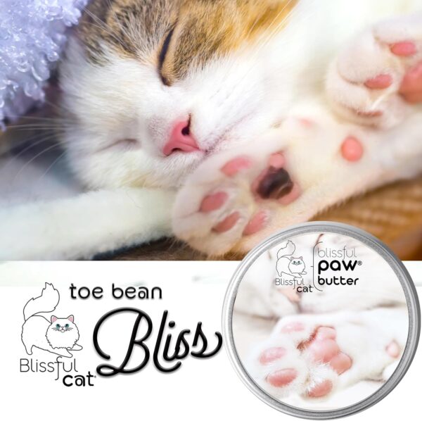 The Blissful Cat Paw Butter, Moisturizer for Dry Paw Pads, Softens and Protects a Rough Paw, Versatile, Lick-Safe Cat Paw Balm, 2 oz. - Image 2