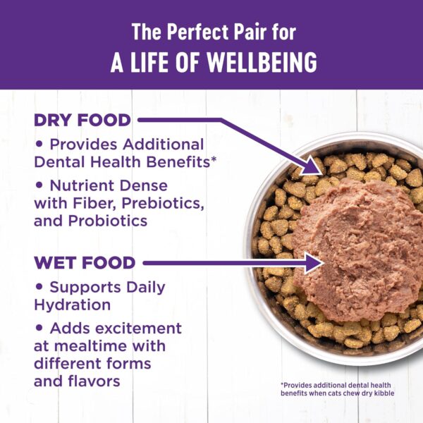 Wellness Complete Health Grain Free Canned Cat Food, Chicken Pate, 3 Ounces (Pack of 24) - Image 5