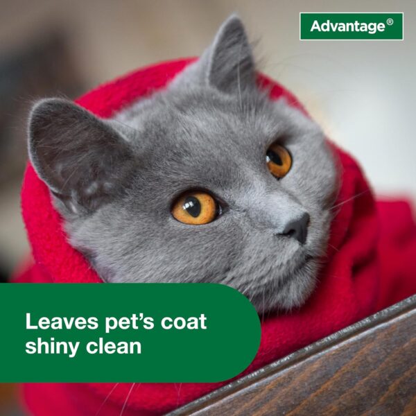 Advantage Cat Flea & Tick Shampoo for Kittens & Adult Cats | Kills Fleas & Ticks | 8 oz. - Image 6