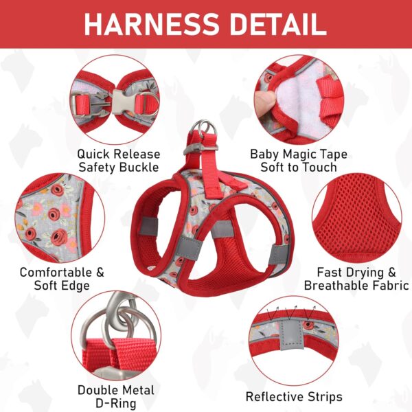 GAMUDA Small Dog Harness Collar and Leash Set, Step in No Chock No Pull Soft Mesh Adjustable Dog Vest Harnesses Plaid Reflective for Dogs Puppy Cats Kitten Rabbit (Red Flower, S) - Image 3