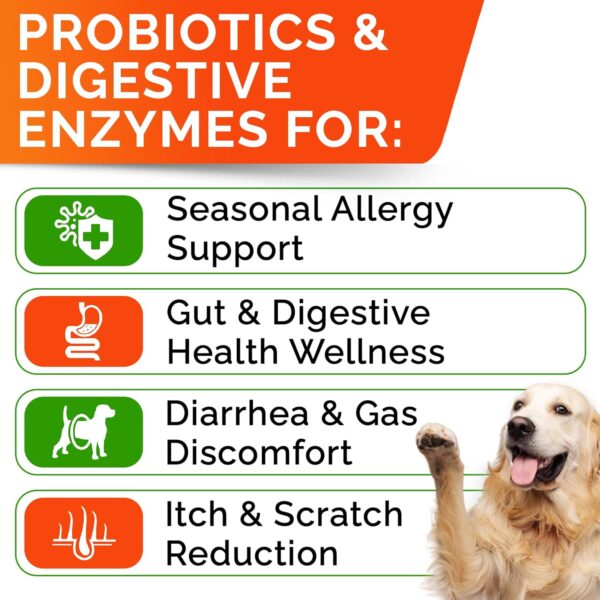 StrellaLab Pet Probiotics for Dogs & Digestive Enzymes + Digestion & Gut Health Treats, Dog Probiotics Chews, Fiber Supplement, Anti Diarrhea, Constipation, Upset Stomach&Gas Relief, Canine Prebiotic - Image 2