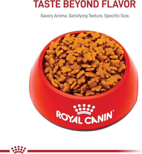 Royal Canin Small Breed Adult Dry Dog Food, 2.5 lb bag - Image 9