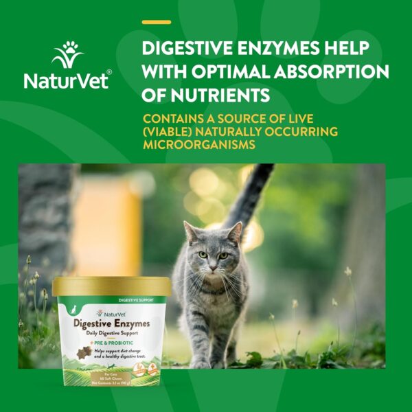 NaturVet – Digestive Enzymes for Cats Plus Probiotics – 60 Soft Chews – Helps Support Diet Change & A Healthy Digestive Tract – Aids in The Absorption of Vitamins & Minerals – 30 Day Supply - Image 4