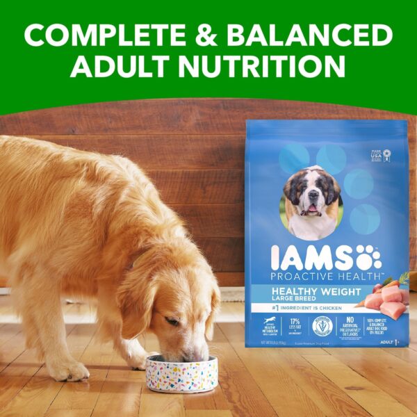 IAMS Adult Healthy Weight Control Large Breed Dry Dog Food with Real Chicken, 29.1 lb. Bag - Image 11