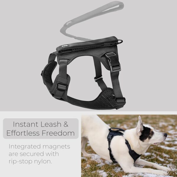 TUG Grab Dog Harness | Integrated Traffic Leash Magnetically Attached for Quick Control (Medium/Black) - Image 2