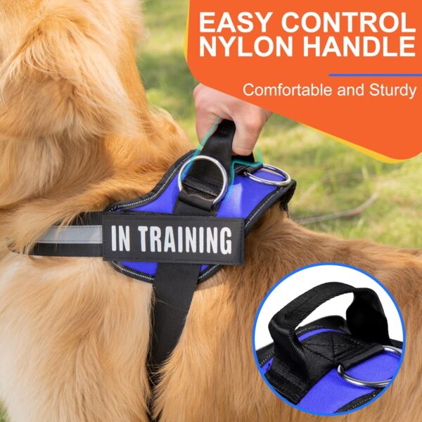 Essential Dog Harness, No Pull Pet Harness with 3 Side Rings for Leash Placement, No Choke, Reflective, Adjustable Pet Vest, Easy On-Off & Improved Control Handle, Training, Walking, Running Blue - Image 6