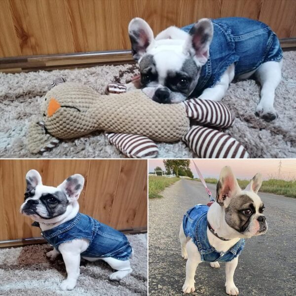 Dog Jean Jacket, Blue Denim Lapel Vest Coat T-Shirt Costume Cute Girl Boy Puppy Clothes, Comfort and Cool Apparel, for Small Medium Dogs Cats, Machine Washable Outfits (Small, Blue) - Image 6