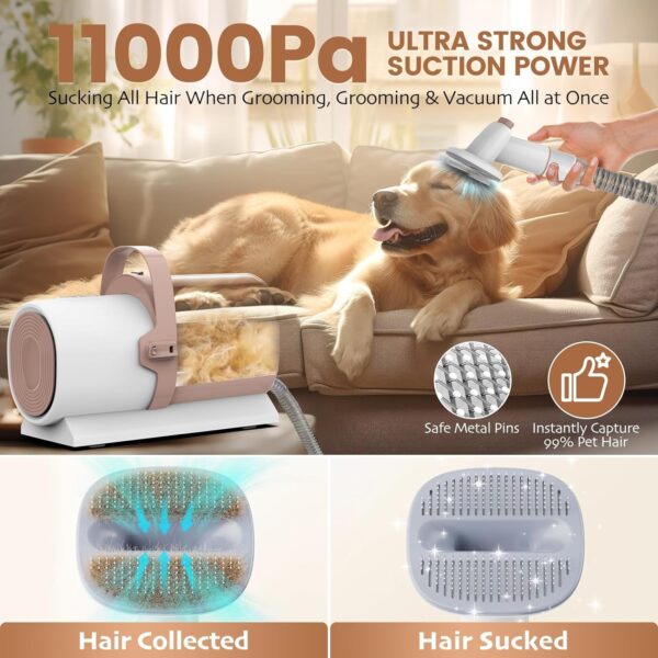 Dog Grooming Vacuum – Dog Hair Vacuum for Shedding Grooming, Pet Vacuum Grooming Kit with 11000Pa Suction Power – includes 4 Grooming Tools for Dogs and Cats – Perfect for Pet Grooming, PG50. - Image 3