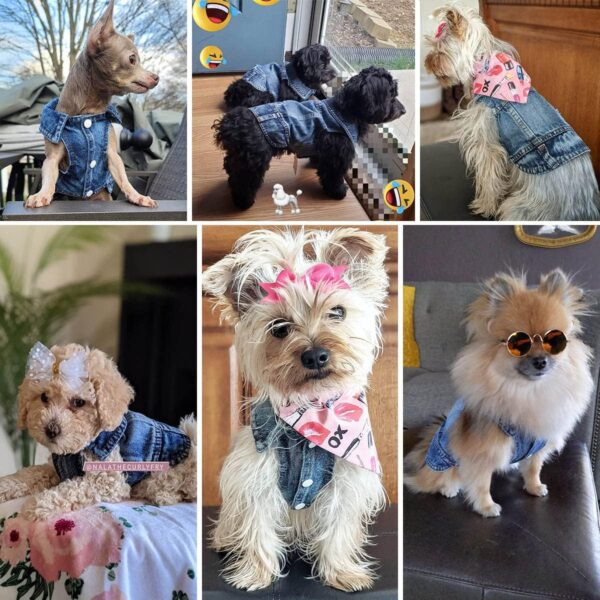 Dog Jean Jacket, Blue Denim Lapel Vest Coats Classic Pet Shirt Cute Girl Boy Dog Puppy Clothes, Comfort and Cool Costume, Dog Outfit for Small Medium Dogs Cats Kitten, Washed Apparel (Blue, Small) - Image 2