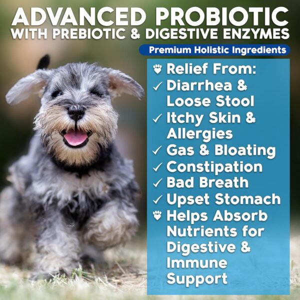 Probiotics for Dogs, Dog Probiotics and Digestive Enzymes, Made in USA, Vet Developed, Dog Probiotic Chews with Prebiotics, Diarrhea Treatment, for Itchy Skin, Gut Health & Gas Relief - Image 2