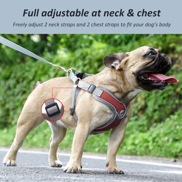 Dog Harness with Leash Set, No Pull Adjustable Step in Dog Collars Harness with Breathable Padded Vest Harness for Small Medium Large Dogs Training and Running(L, Red) - Image 4