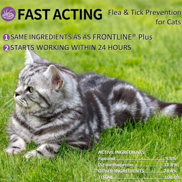 Flea and Tick Prevention for Cats, Cat Flea & Tick Control with Fipronil, Long-Lasting & Fast-Acting Topical Flea & Tick Treatment Drops for Kitten, 3 Doses - Image 6