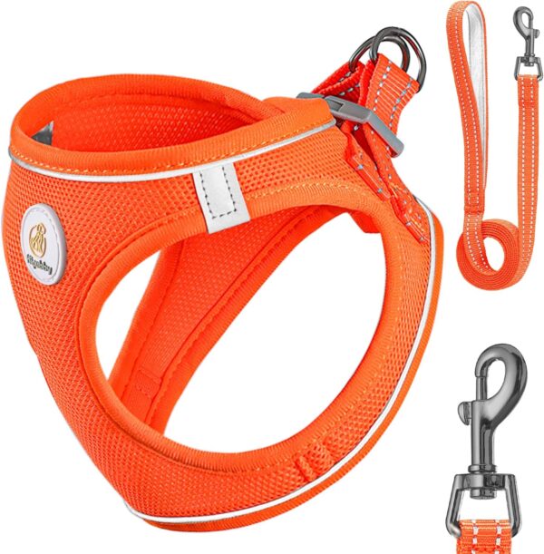 Dog Harness with Leash Set, Step in Adjustable Dog Harness with No Pull Soft Mesh Pet Harness Reflective Puppy Vest for Walking, Running, Training, Small Medium Large Dogs(Pure Orange,XXS)