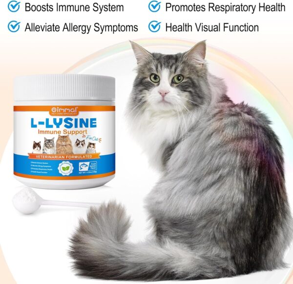 L-Lysine Powder for Cats, 120g Lysine Powder Supports Cats Immune System, Respiratory Health & Visual Function – Lysine Powder Improve Cats Eye Discharge, Pets Health Supplies, Salmon Flavor - 4.23oz - Image 9