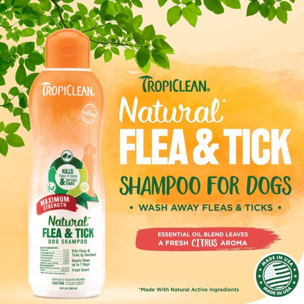 TropiClean Maximum Strength Natural Flea and Tick Dog Shampoo for Flea and Tick Prevention for Dogs | Made in the USA | 20 oz - Image 2