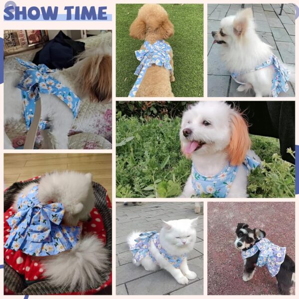 Dog Dress Bowknot Harness Leash Set for Small Dogs Cats Daisy Floral Girl Dog Dresses Cute Puppy Princess Clothes Pet Doggy Outfits Spring Summer Breathable Dresses(Blue,Small) - Image 3