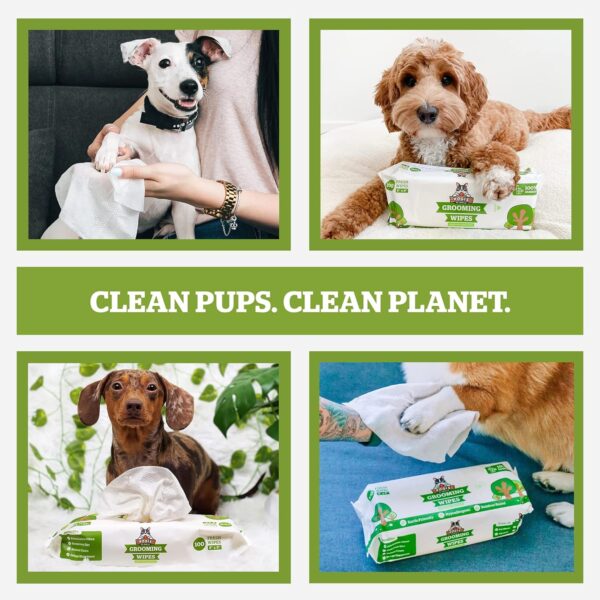 Pogi's Dog Grooming Wipes - 100 Dog Wipes for Cleaning and Deodorizing - Plant-Based, Hypoallergenic Pet Wipes for Dogs, Puppy Wipes - Quick Bath Dog Wipes for Paws, Butt, & Body - Green Tea Scented - Image 9