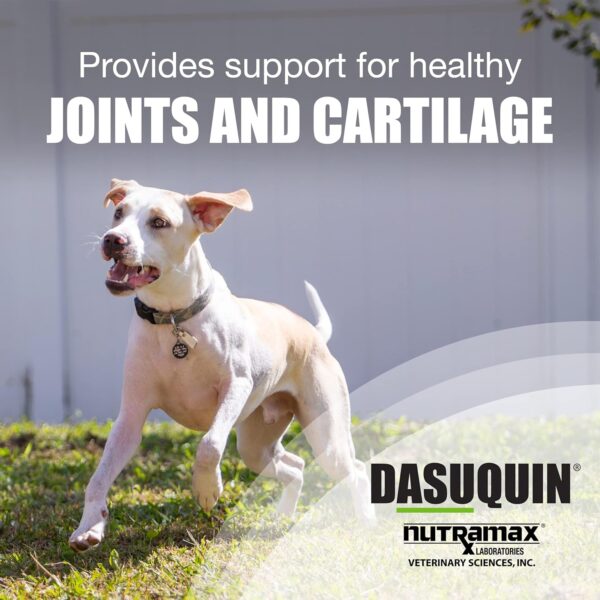 Nutramax Dasuquin Joint Health Supplement for Small to Medium Dogs - With Glucosamine, Chondroitin, ASU, Boswellia Serrata Extract, Green Tea Extract, 150 Chewable Tablets - Image 3