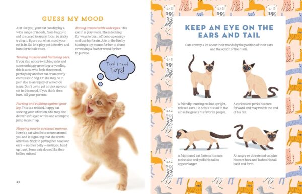 A Kid's Guide to Cats: How to Train, Care for, and Play and Communicate with Your Amazing Pet! - Image 4