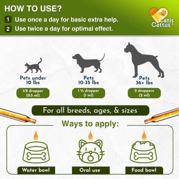 Pet Antibiotic | Natural Antibiotics for Cats | Natural Antibiotics for Dogs | Antibiotics for Dog | Antibiotic for Cats | 1 Oz - Image 4