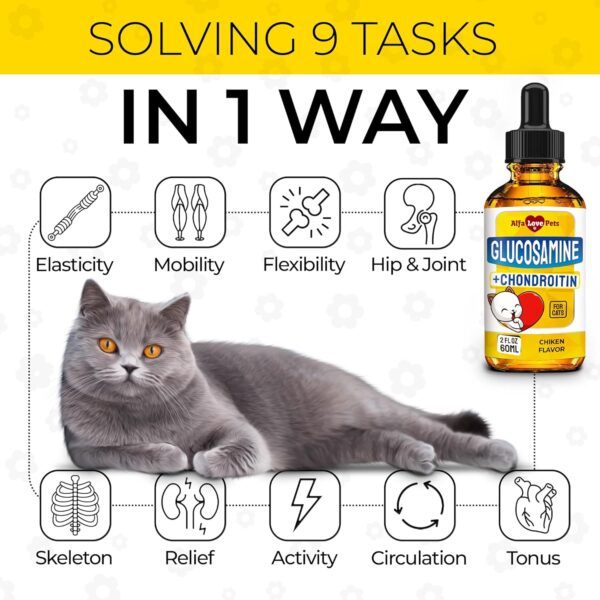 Glucosamine for Cats ✿ Cat Joint Supplement ✿ Cat Glucosamine ✿ Joint Supplement for Cats ✿ Glucosamine for Cats Liquid ✿ Glucosamine Chondroitin for Cats ✿ Chicken Flavor ✿ 2 Oz - Image 2