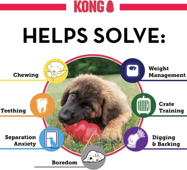 KONG Extreme Dog Toy - Fetch & Chew Toy - Treat-Filling Capabilities & Erratic Bounce for Extended Play Time Most Durable Natural Rubber Material - for Power Chewers - for Large Dogs - Image 6