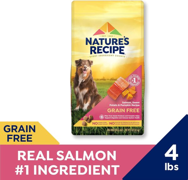 Nature′s Recipe Grain Free Salmon, Sweet Potato & Pumpkin Recipe Dry Dog Food, 4 lb. Bag - Image 4